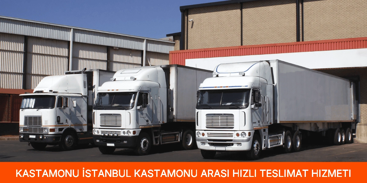 İstanbul Kastamonu Arası Hızlı Teslimat Hizmeti