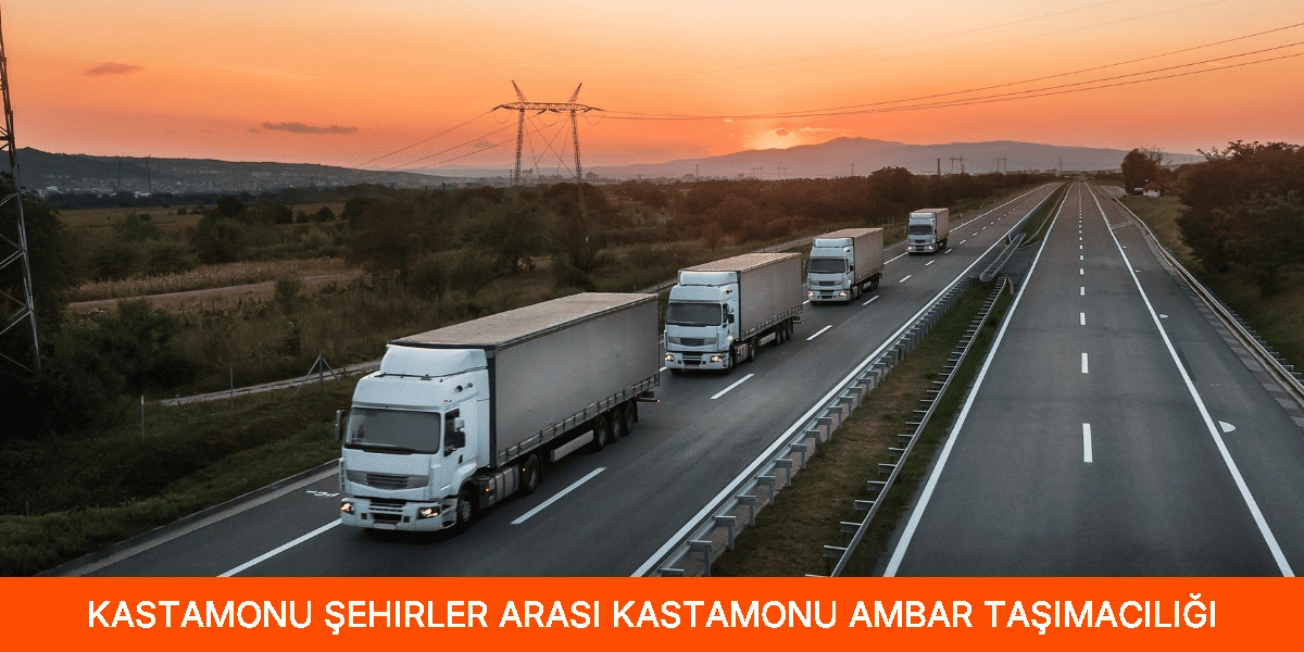 Şehirler Arası Kastamonu Ambar Taşımacılığı
